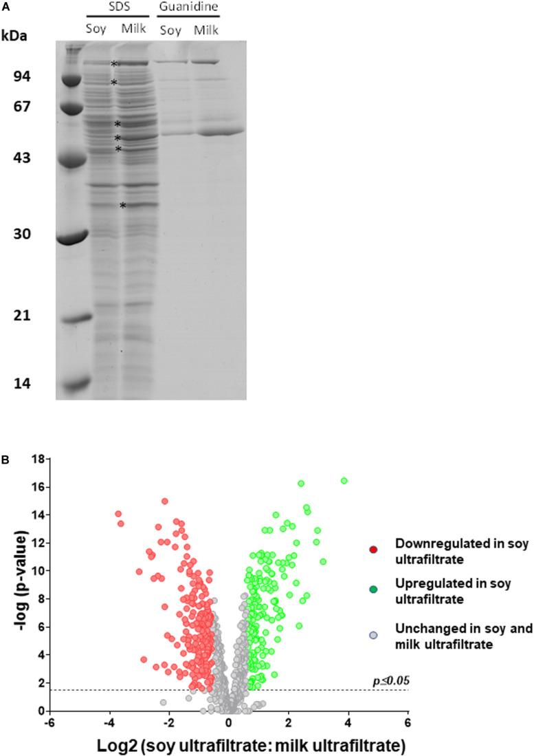 https://cdn.ncbi.nlm.nih.gov/pmc/blobs/d099/7736159/45f8876b7b35/fmicb-11-549027-g005.jpg