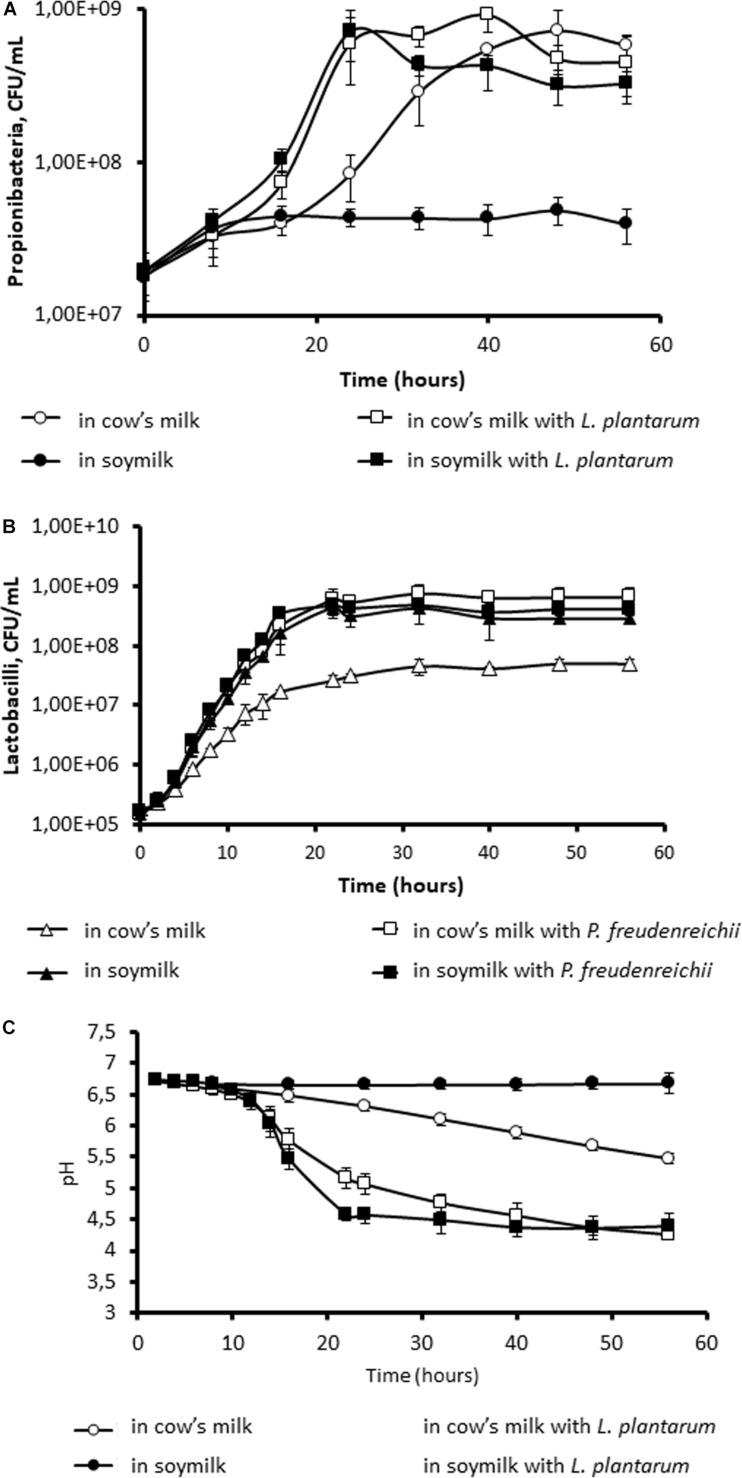 https://cdn.ncbi.nlm.nih.gov/pmc/blobs/d099/7736159/54aad1d0aca0/fmicb-11-549027-g001.jpg