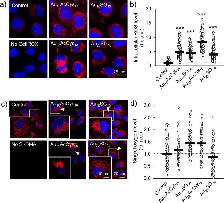 https://cdn.ncbi.nlm.nih.gov/pmc/blobs/d09b/10203263/3f0cfe9331b6/42004_2023_895_Fig6_HTML.jpg