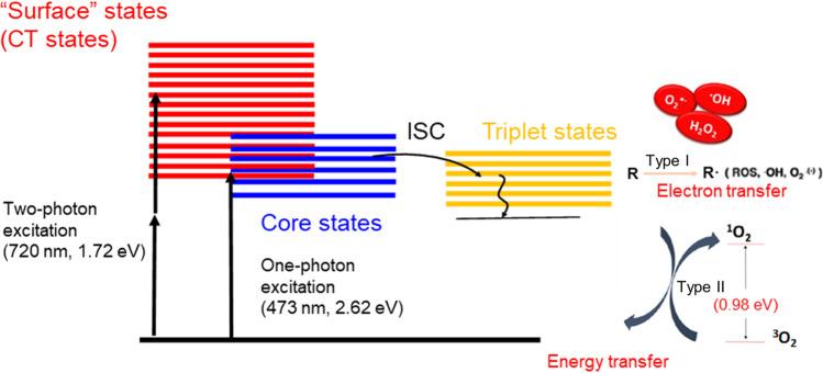 https://cdn.ncbi.nlm.nih.gov/pmc/blobs/d09b/10203263/4e4c5dd50c5f/42004_2023_895_Fig1_HTML.jpg