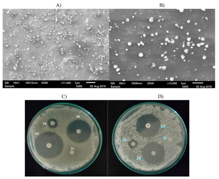 https://cdn.ncbi.nlm.nih.gov/pmc/blobs/d09b/7598667/4d306fd73741/nanomaterials-10-01903-g004.jpg