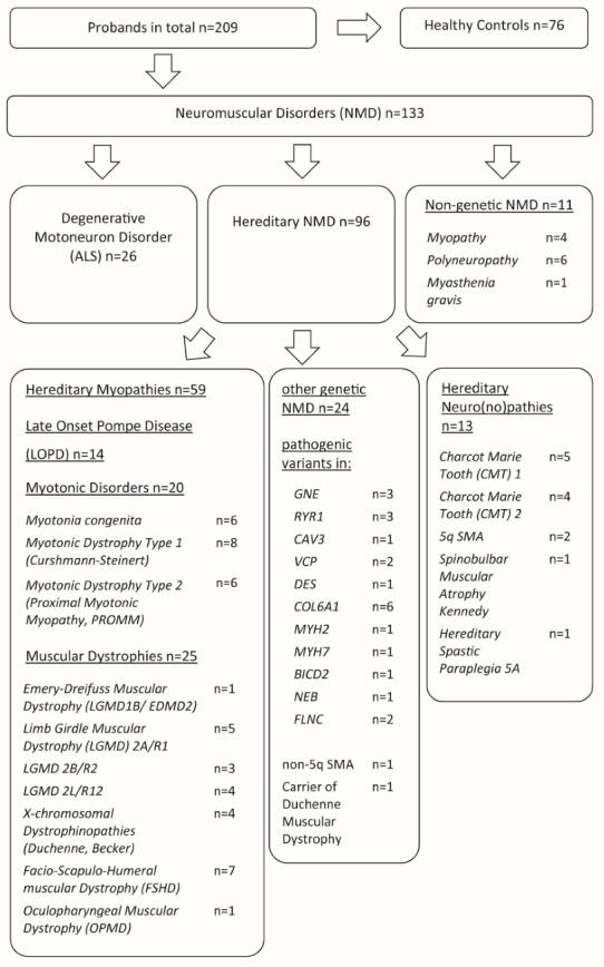 https://cdn.ncbi.nlm.nih.gov/pmc/blobs/d09b/9866721/c83272366a12/viruses-15-00079-g001.jpg