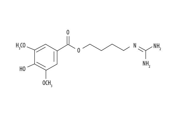 https://cdn.ncbi.nlm.nih.gov/pmc/blobs/d09d/6714594/2dce4b639ebc/medscimonit-25-6271-g001.jpg