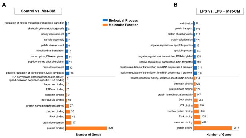 https://cdn.ncbi.nlm.nih.gov/pmc/blobs/d0a0/12112599/3c6a6ca87473/jfb-16-00177-g005.jpg