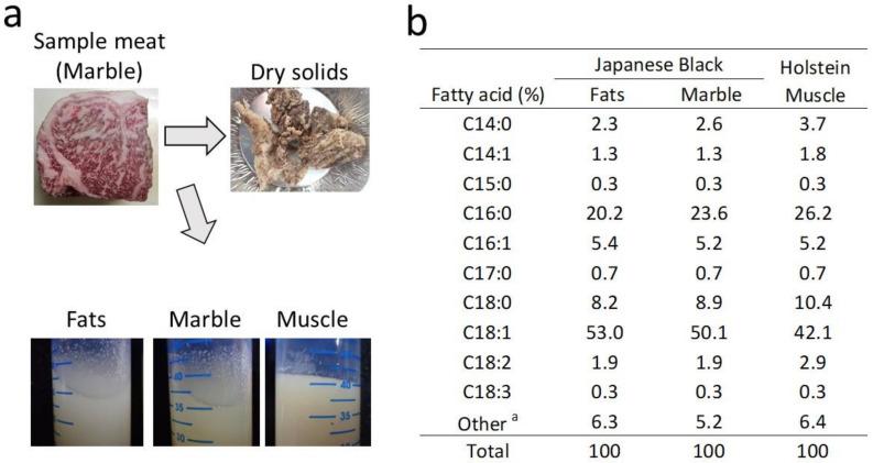 https://cdn.ncbi.nlm.nih.gov/pmc/blobs/d0a1/9028887/120bbe664f0a/metabolites-12-00332-g001.jpg