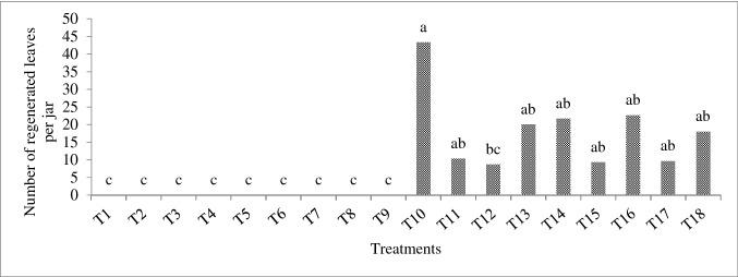 https://cdn.ncbi.nlm.nih.gov/pmc/blobs/d0a2/7561546/cd47d2d2a071/11033_2020_5713_Fig3_HTML.jpg