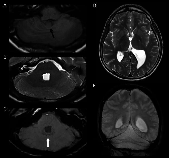https://cdn.ncbi.nlm.nih.gov/pmc/blobs/d0a3/11585500/7011d6231820/12311_2024_1740_Fig2_HTML.jpg