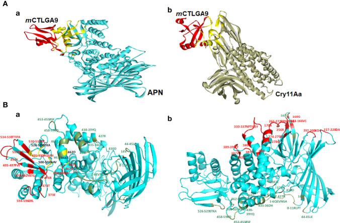 https://cdn.ncbi.nlm.nih.gov/pmc/blobs/d0a3/9294448/7d1d64507a49/fimmu-13-906259-g002.jpg