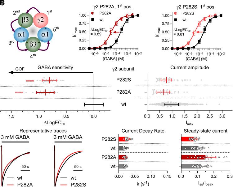 https://cdn.ncbi.nlm.nih.gov/pmc/blobs/d0a7/11648851/2383f3dc7692/pnas.2413011121fig05.jpg