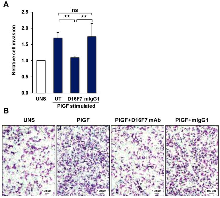 https://cdn.ncbi.nlm.nih.gov/pmc/blobs/d0a8/9688925/4fd11730f807/cancers-14-05578-g001.jpg