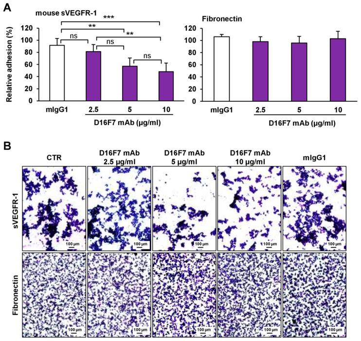 https://cdn.ncbi.nlm.nih.gov/pmc/blobs/d0a8/9688925/914cb10b51a2/cancers-14-05578-g002.jpg