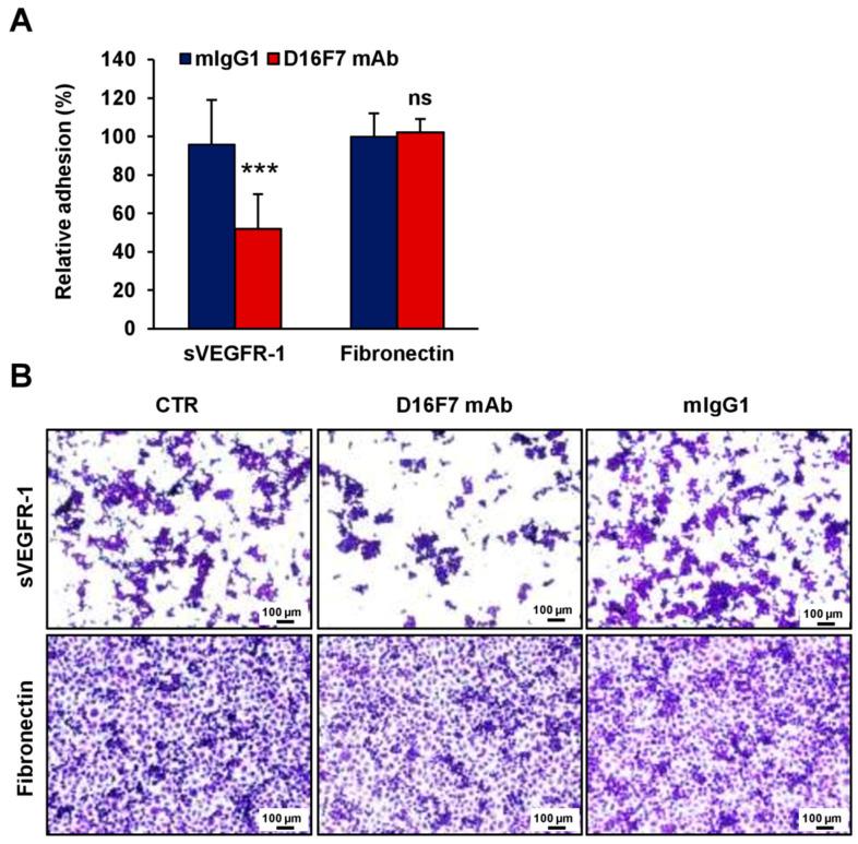 https://cdn.ncbi.nlm.nih.gov/pmc/blobs/d0a8/9688925/95390fae86fd/cancers-14-05578-g005.jpg