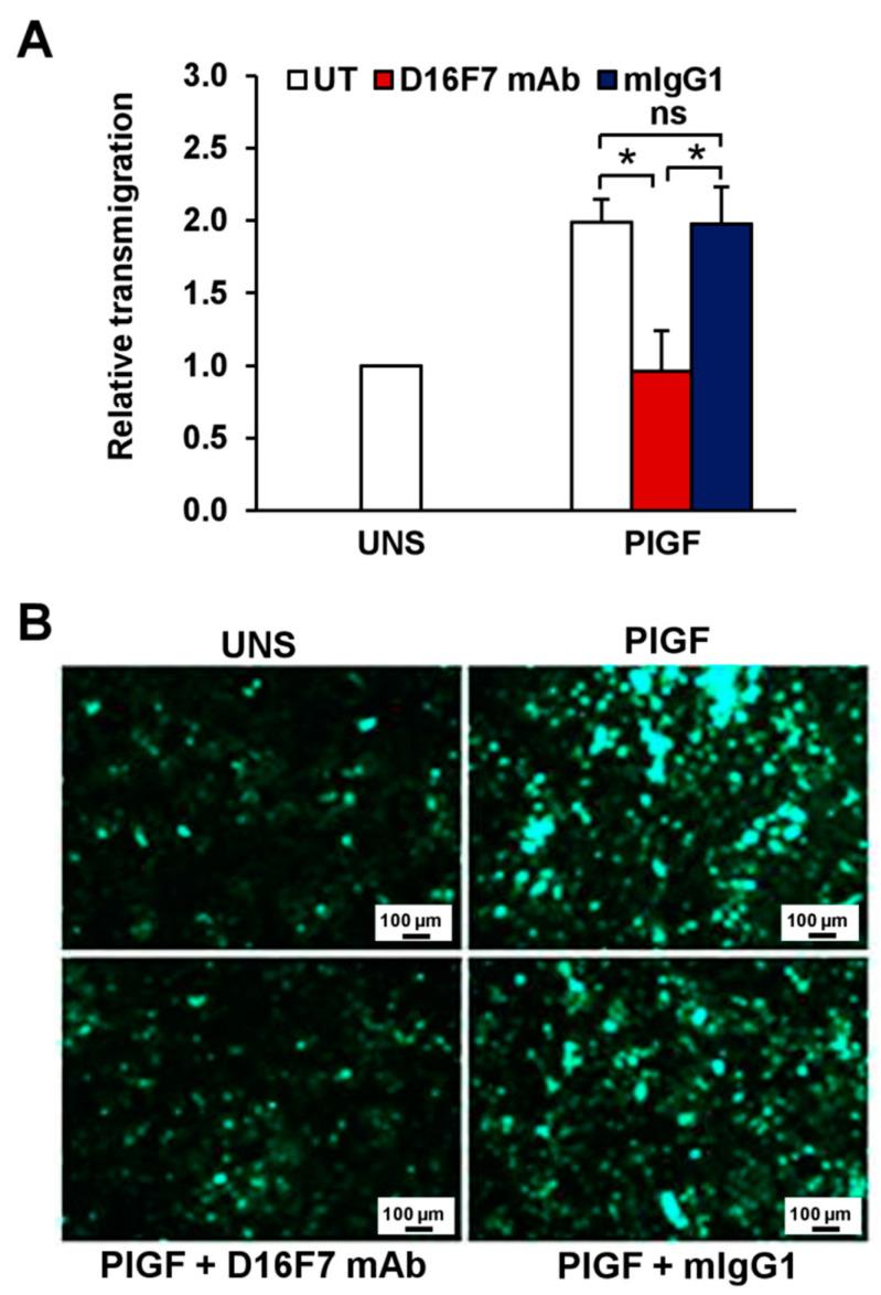 https://cdn.ncbi.nlm.nih.gov/pmc/blobs/d0a8/9688925/a88ec1f611ba/cancers-14-05578-g006.jpg