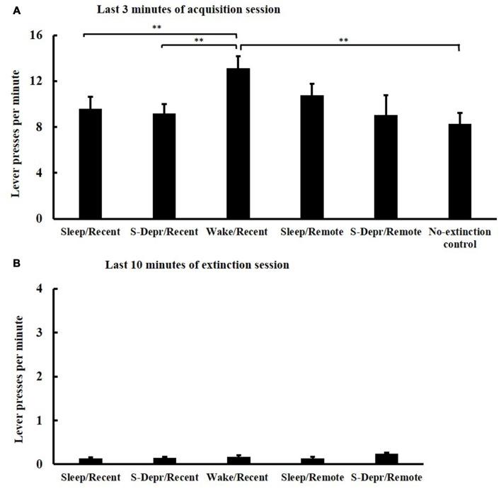 https://cdn.ncbi.nlm.nih.gov/pmc/blobs/d0a9/5405121/8544ab9ede1f/fnbeh-11-00074-g0002.jpg