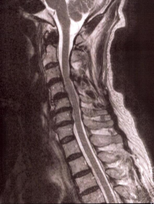 https://cdn.ncbi.nlm.nih.gov/pmc/blobs/d0aa/9556246/ed185b25b9a0/1349-7235-61-2789-g002.jpg