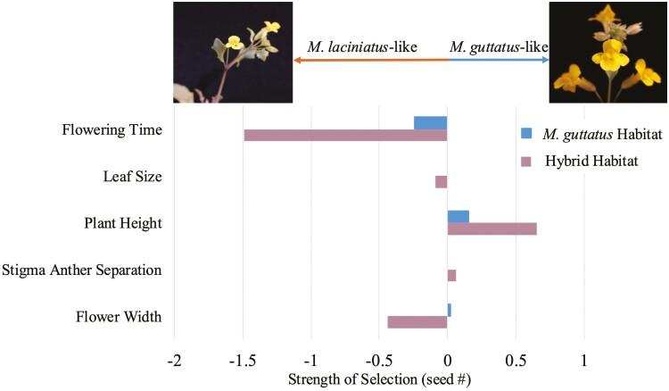 https://cdn.ncbi.nlm.nih.gov/pmc/blobs/d0ad/11790225/f2f56b322007/qrae050_fig5.jpg