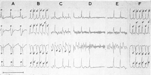 https://cdn.ncbi.nlm.nih.gov/pmc/blobs/d0ad/1703834/8eef0728c820/bripharmchem00033-0159-a.jpg