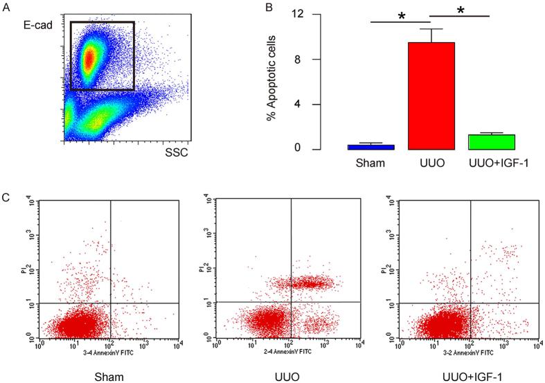 https://cdn.ncbi.nlm.nih.gov/pmc/blobs/d0b1/4908659/04a2d245443d/srep28066-f2.jpg