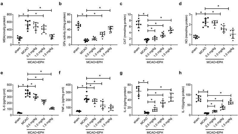 https://cdn.ncbi.nlm.nih.gov/pmc/blobs/d0b6/8806764/d4a60098c6cd/KBIE_A_1953218_F0004_B.jpg