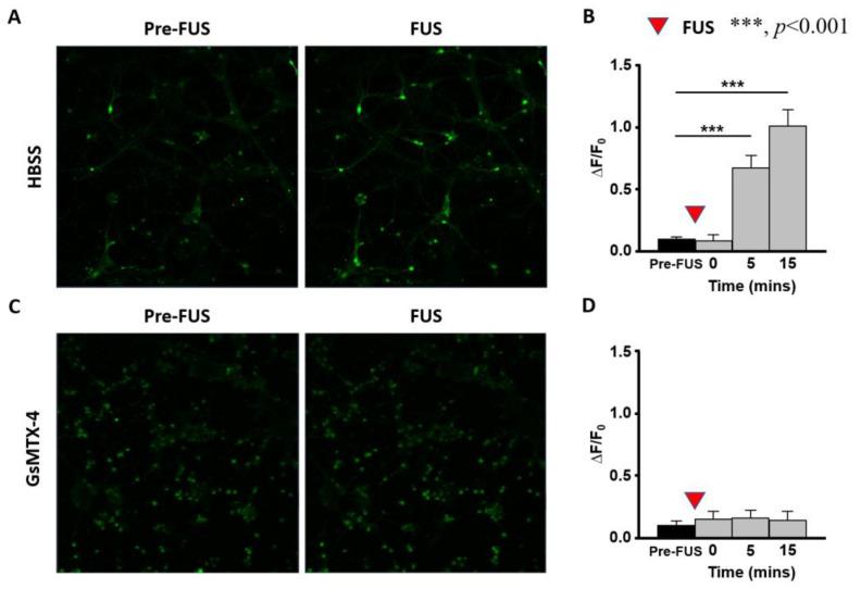 https://cdn.ncbi.nlm.nih.gov/pmc/blobs/d0b6/9917173/1193971575af/ijms-24-02578-g006.jpg