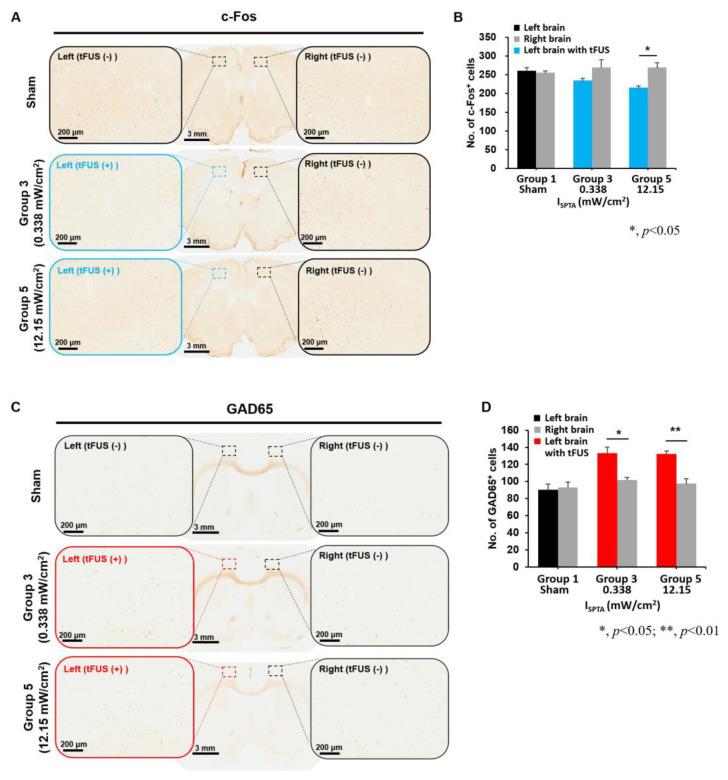 https://cdn.ncbi.nlm.nih.gov/pmc/blobs/d0b6/9917173/366e897cfac8/ijms-24-02578-g005.jpg
