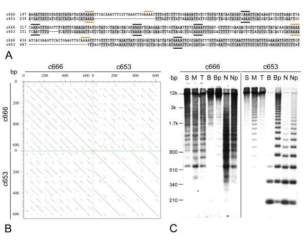 https://cdn.ncbi.nlm.nih.gov/pmc/blobs/d0b8/2543021/49505dd19da8/1471-2229-8-90-5.jpg