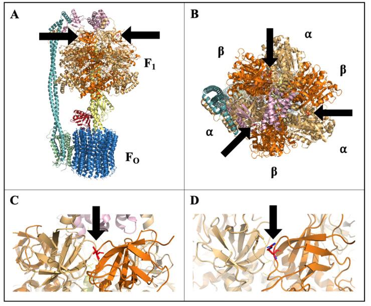 https://cdn.ncbi.nlm.nih.gov/pmc/blobs/d0b8/8226925/c6f0d787cf2a/plants-10-01092-g008.jpg