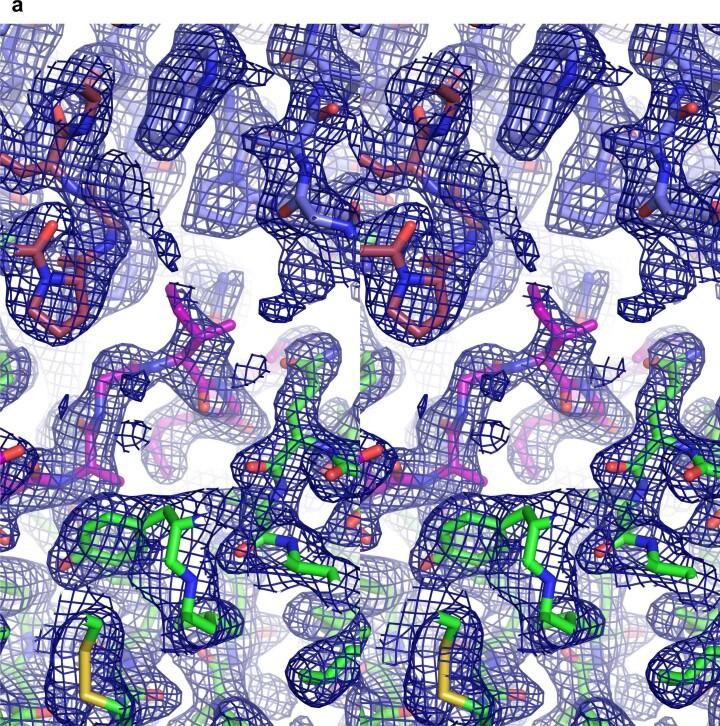https://cdn.ncbi.nlm.nih.gov/pmc/blobs/d0ba/10344781/84be1de02fe3/41587_2022_1567_Fig13_ESM.jpg