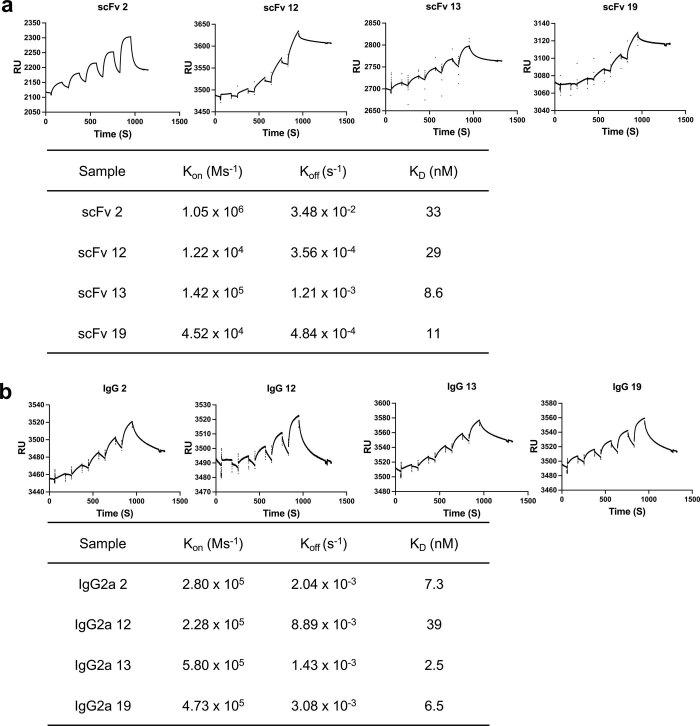 https://cdn.ncbi.nlm.nih.gov/pmc/blobs/d0ba/10344781/f3c92626076b/41587_2022_1567_Fig8_ESM.jpg