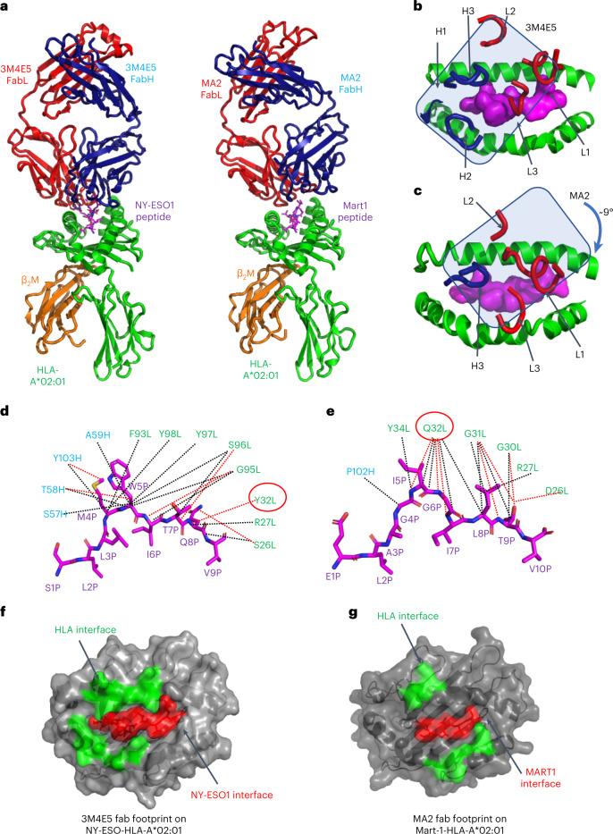 https://cdn.ncbi.nlm.nih.gov/pmc/blobs/d0ba/10344781/fe8c8669e9b4/41587_2022_1567_Fig6_HTML.jpg