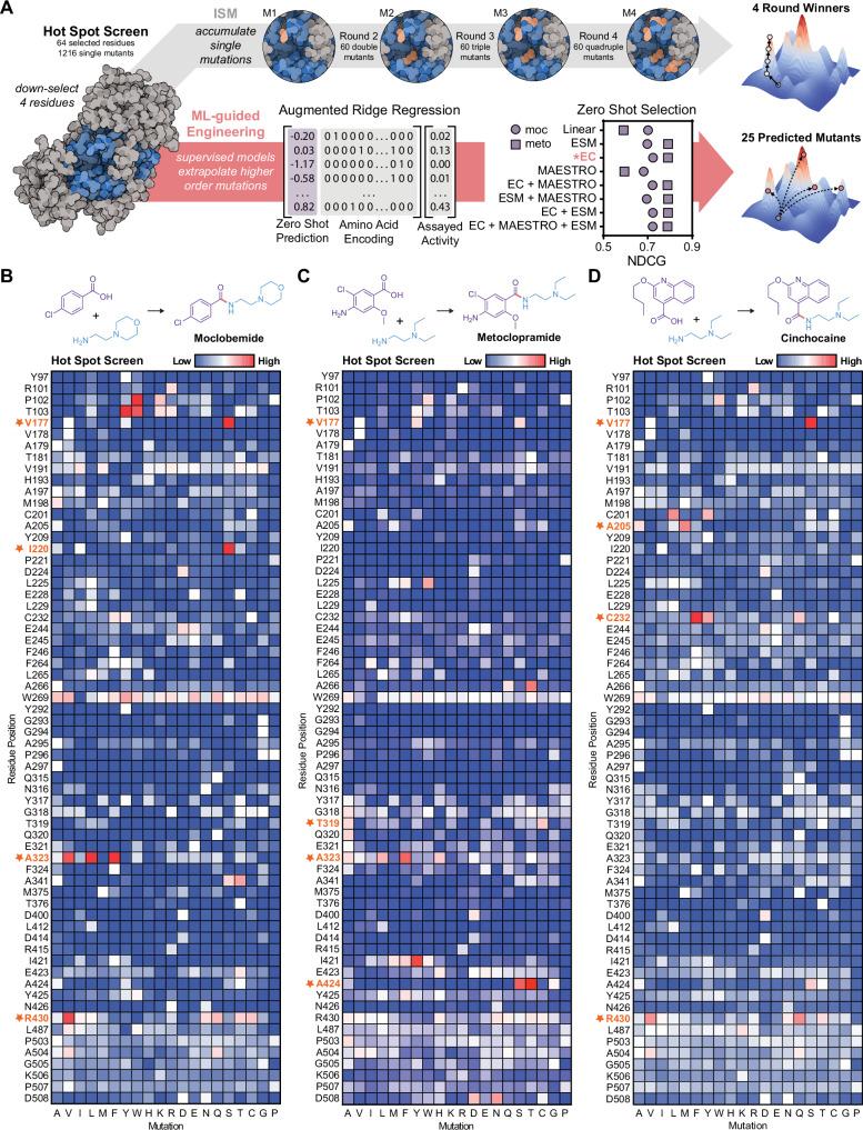 https://cdn.ncbi.nlm.nih.gov/pmc/blobs/d0bc/11747319/b5f1db4d6c62/41467_2024_55399_Fig3_HTML.jpg