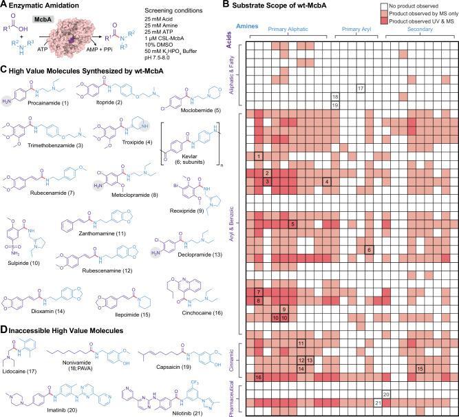 https://cdn.ncbi.nlm.nih.gov/pmc/blobs/d0bc/11747319/b6de8af414ff/41467_2024_55399_Fig2_HTML.jpg