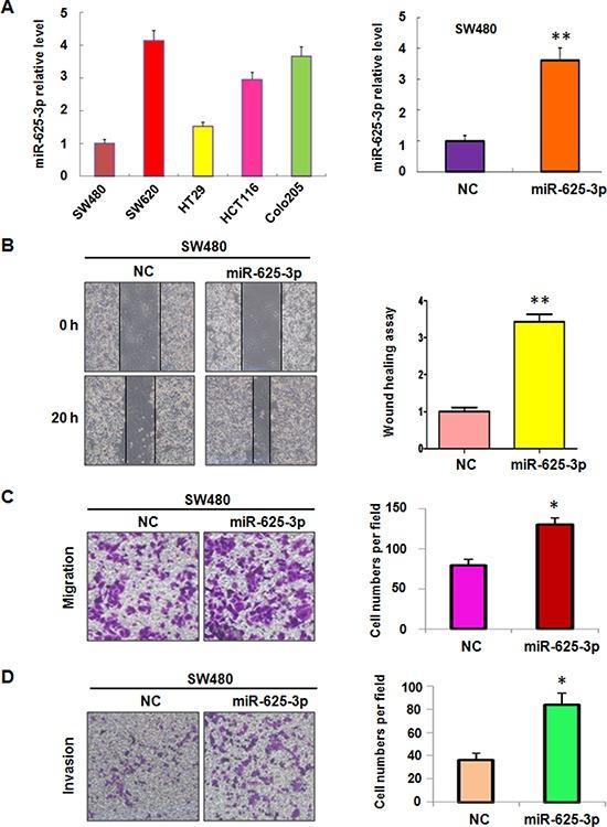 https://cdn.ncbi.nlm.nih.gov/pmc/blobs/d0bd/4695027/c7696b49b3fc/oncotarget-06-27805-g001.jpg