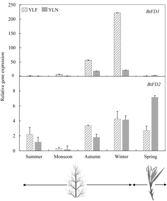 https://cdn.ncbi.nlm.nih.gov/pmc/blobs/d0bd/8041875/432f5fb2193b/41598_2021_87491_Fig3_HTML.jpg