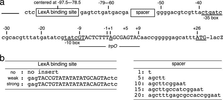 https://cdn.ncbi.nlm.nih.gov/pmc/blobs/d0be/7896080/4ee0dfd787c4/41598_2021_83156_Fig1_HTML.jpg
