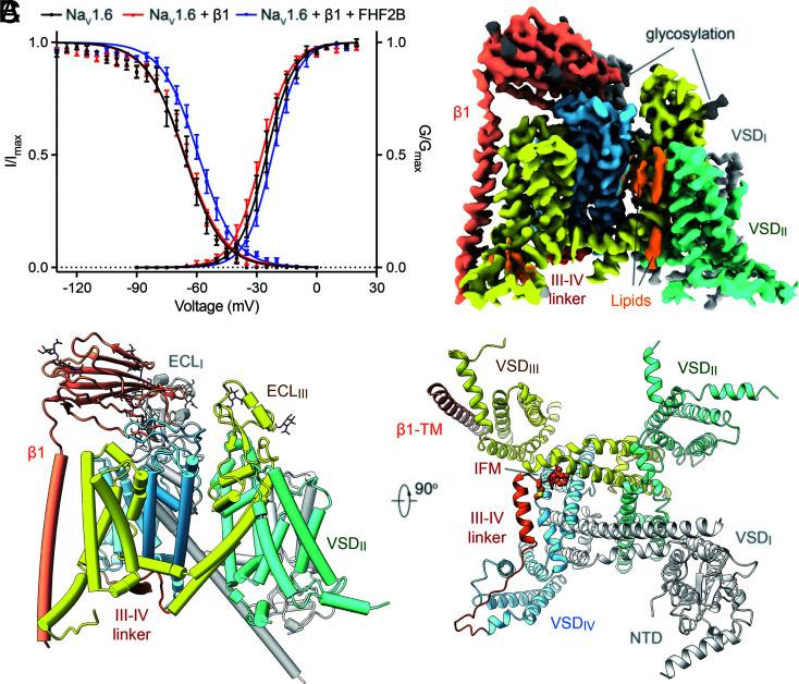 https://cdn.ncbi.nlm.nih.gov/pmc/blobs/d0c1/9945969/a385ff4b04ac/pnas.2220578120fig01.jpg