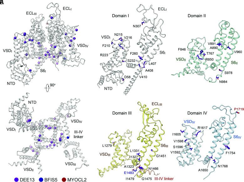 https://cdn.ncbi.nlm.nih.gov/pmc/blobs/d0c1/9945969/ab1392771b8d/pnas.2220578120fig04.jpg
