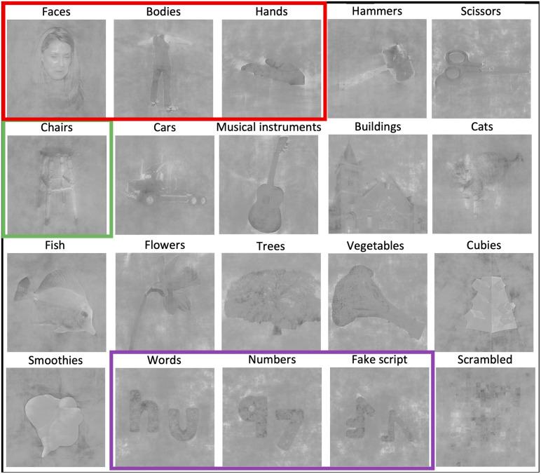 https://cdn.ncbi.nlm.nih.gov/pmc/blobs/d0c2/12272258/a8edb4575a67/imag_a_00196_fig1.jpg