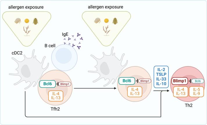 https://cdn.ncbi.nlm.nih.gov/pmc/blobs/d0c2/9872036/ae942e9d80e0/falgy-03-1080153-g002.jpg