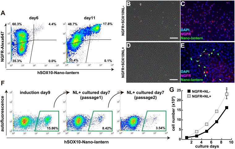 https://cdn.ncbi.nlm.nih.gov/pmc/blobs/d0c3/5249153/6046bddb81ec/pone.0170342.g004.jpg