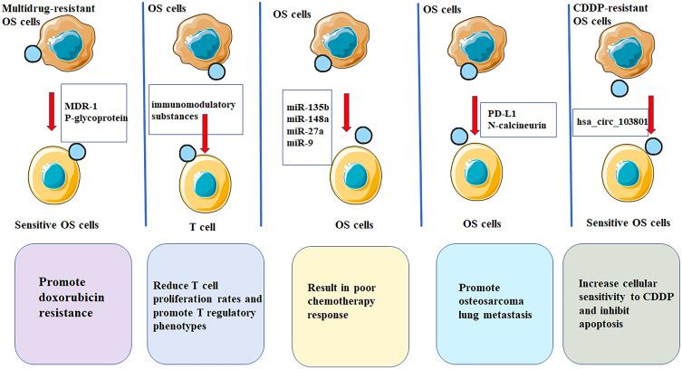 https://cdn.ncbi.nlm.nih.gov/pmc/blobs/d0c6/9539319/21ee4c81b8fc/fimmu-13-1002742-g002.jpg