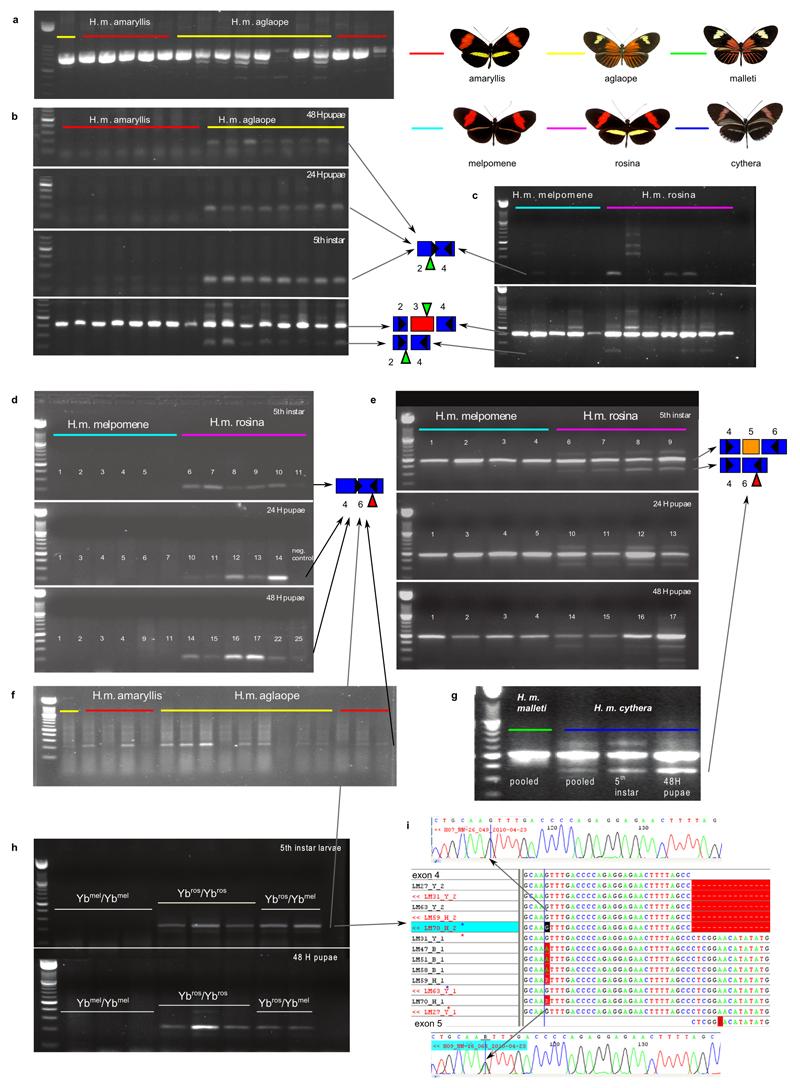 https://cdn.ncbi.nlm.nih.gov/pmc/blobs/d0c8/5094491/32e6468c8b2a/emss-68288-f009.jpg