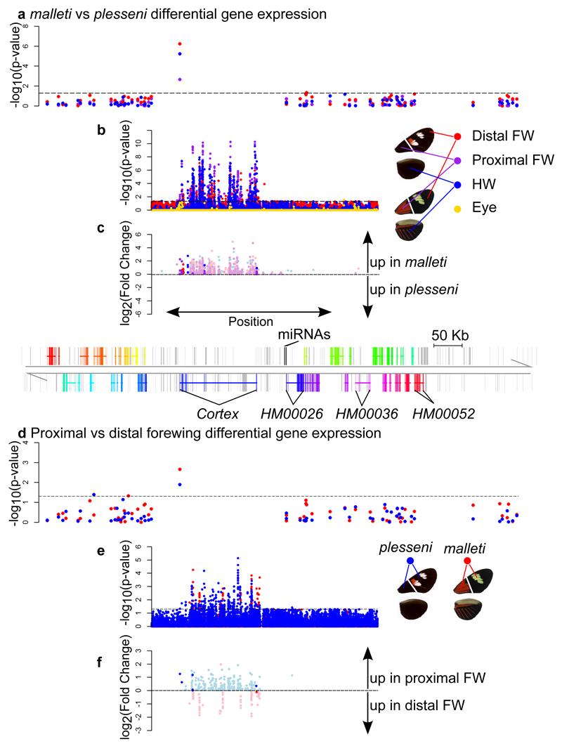 https://cdn.ncbi.nlm.nih.gov/pmc/blobs/d0c8/5094491/5c1a57992097/emss-68288-f003.jpg