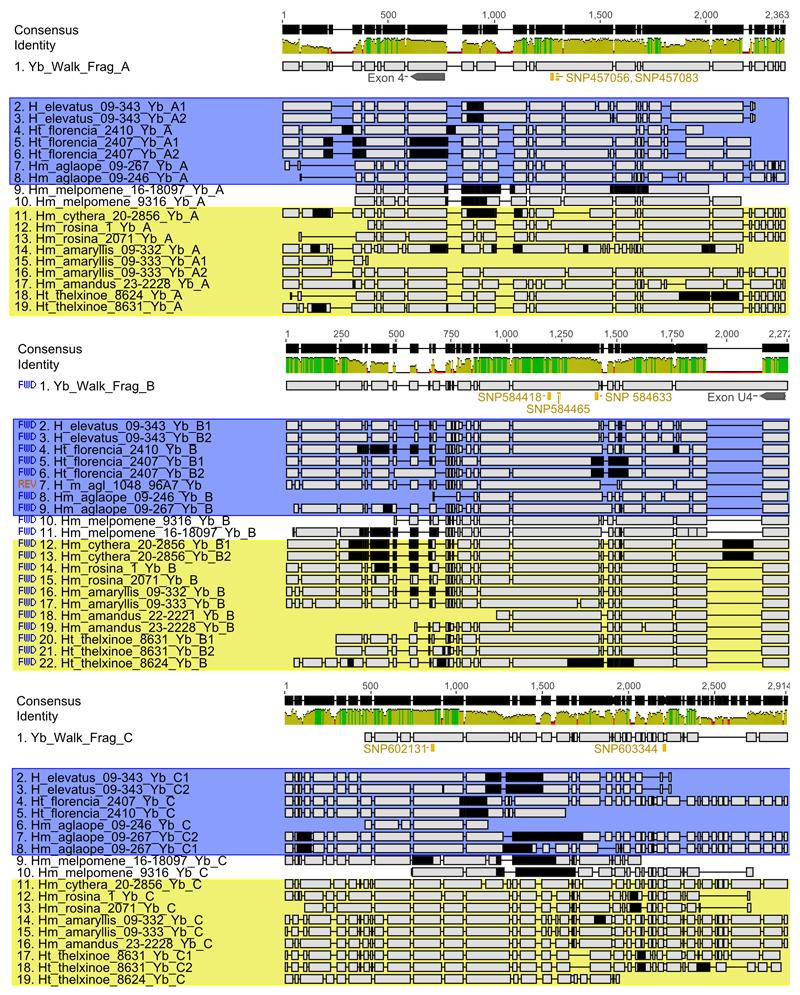 https://cdn.ncbi.nlm.nih.gov/pmc/blobs/d0c8/5094491/c05e6ed87501/emss-68288-f006.jpg