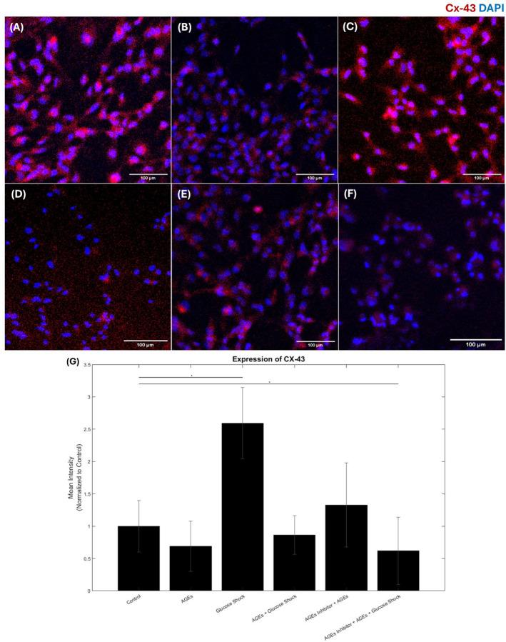 https://cdn.ncbi.nlm.nih.gov/pmc/blobs/d0c9/11702775/14b147ec4939/nihpp-rs5125697v1-f0004.jpg