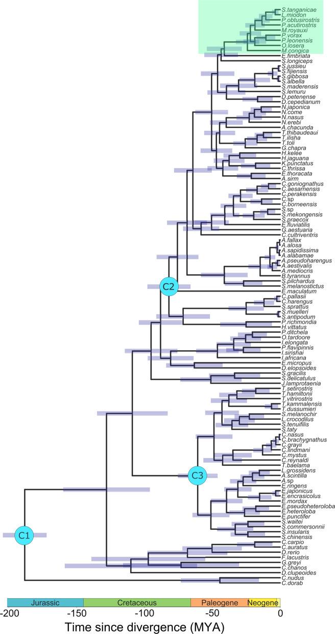 https://cdn.ncbi.nlm.nih.gov/pmc/blobs/d0c9/9635120/2dc7bc6e6137/12862_2022_2085_Fig5_HTML.jpg