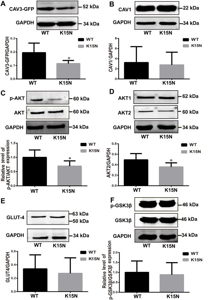 https://cdn.ncbi.nlm.nih.gov/pmc/blobs/d0ca/6755474/0c4523ba390b/etm-18-04-2531-g02.jpg
