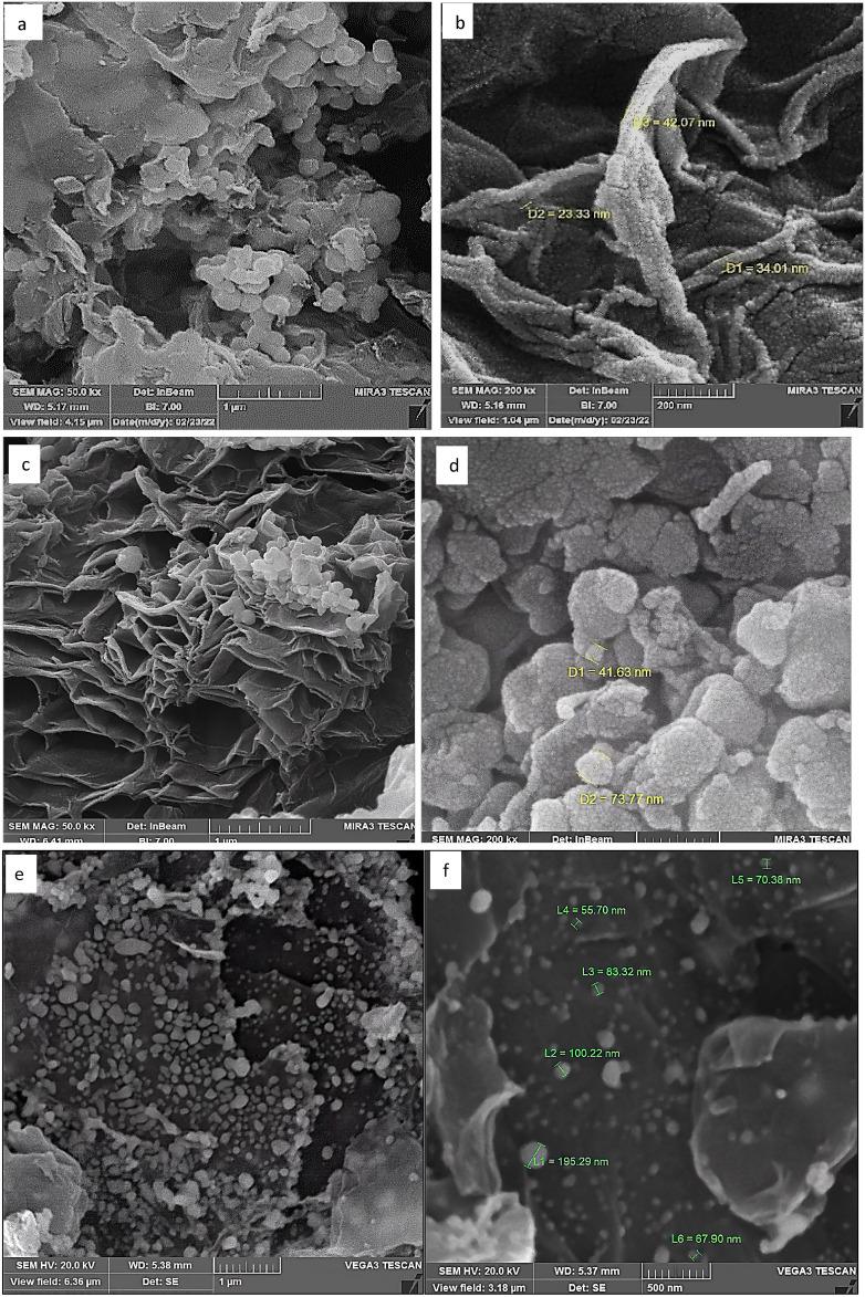 https://cdn.ncbi.nlm.nih.gov/pmc/blobs/d0ce/12032150/08073c562576/41598_2025_98540_Fig3a_HTML.jpg