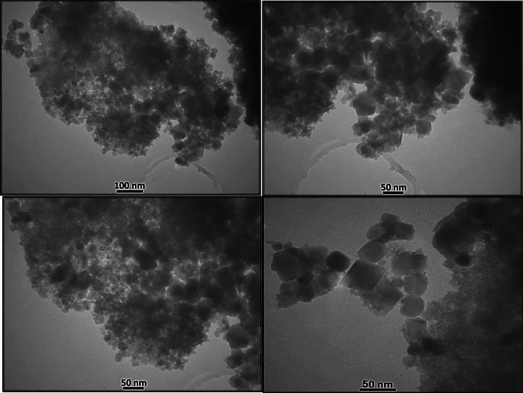 https://cdn.ncbi.nlm.nih.gov/pmc/blobs/d0ce/12032150/381333c12fd1/41598_2025_98540_Fig5_HTML.jpg