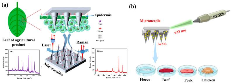 https://cdn.ncbi.nlm.nih.gov/pmc/blobs/d0ce/12190841/48da9d7b508a/biosensors-15-00350-g009.jpg
